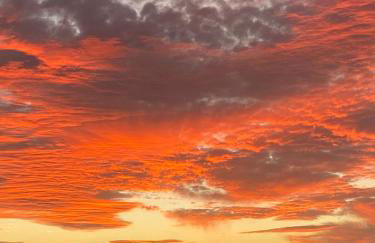 Ocean View, Große Sonnenterrasse, Meerblick, Tamara Komplex, Teneriffa Süd, Los Gigantes, 500m Strand, Pool, 300m zum Ort, ruhig - Foto 39