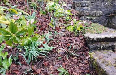 The Annexe @Granny’s Apple Lodge - Foto 18