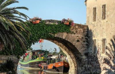 Le Jardin du Somail - Foto 43