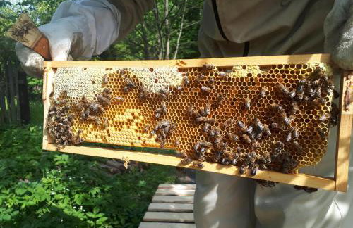 Smrek Sokolec Agroturystyka - Foto 20