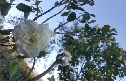 Rifugio Valentina - Foto 9