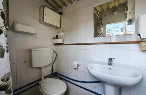 Agra Pet Studio I - Foto 15