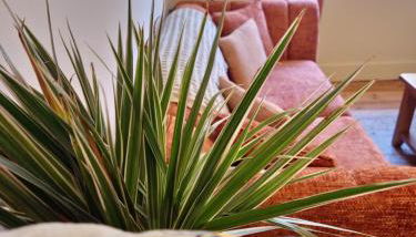 Central Gloucester Self-Catering Flat - A Hidden Gem - Foto 3