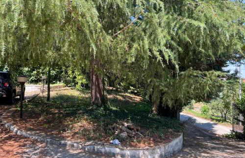 La Masseria - Foto 31