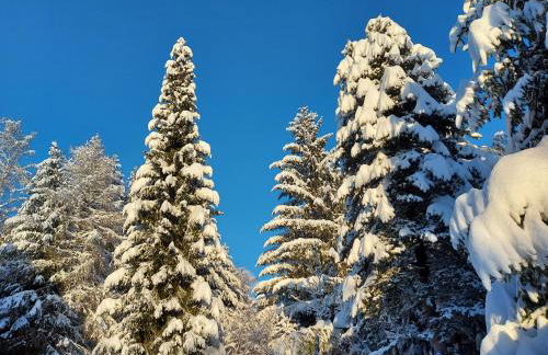 Haus Heidelberg - Foto 53