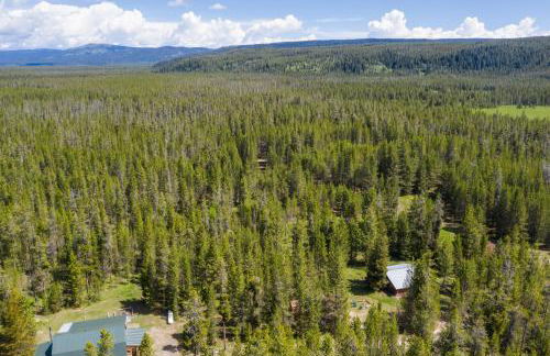 Little Fox by KABINO Fire Pit Large Yard Loft with Low Ceiling Grill WiFi - Foto 37