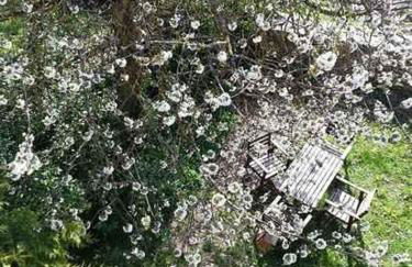 El Cajigal De Quintana - Foto 15