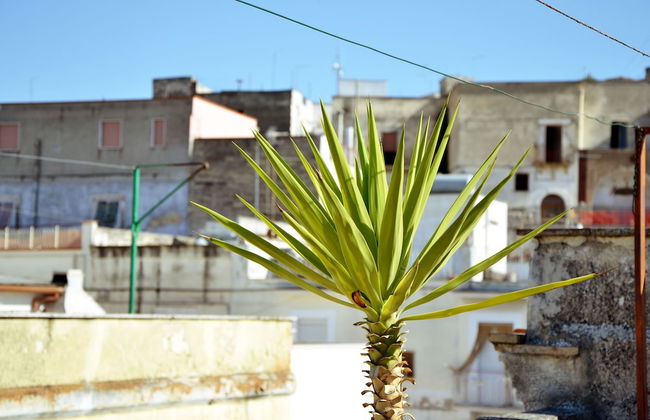 Casa Antica Canosa - Foto 15