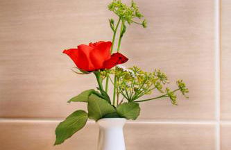 Wildberghof - Foto 61