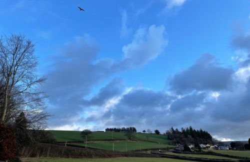 Swn yr Coed - Foto 12