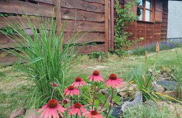 Lawendowy Domek agroturystyka, noclegi - 2,7 km od Bałtowa - Foto 41