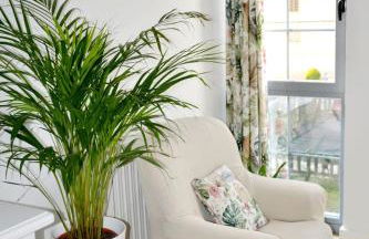 Encanto de Oscos - Foto 21