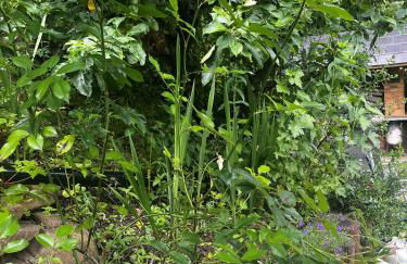 Shed Gwely - Foto 26