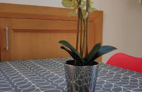 The Cow Hide @ Mill Burn Hollow. - Foto 12