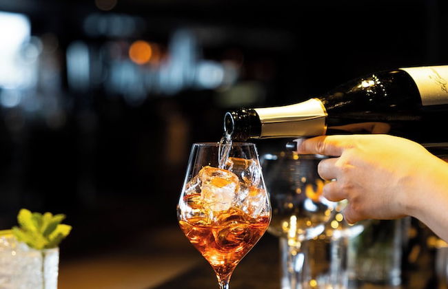 Highland Lodge Fjellandsby - Foto 37