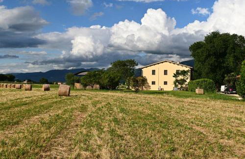 Agriturismo Casale Aurora - Foto 49