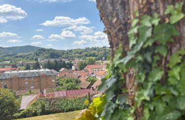 Pro-Apartments Croatia - Foto 68