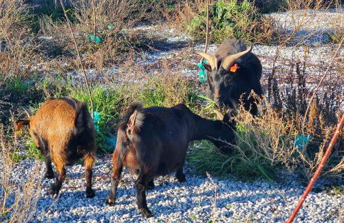 Gojim Casa Rural - Foto 73