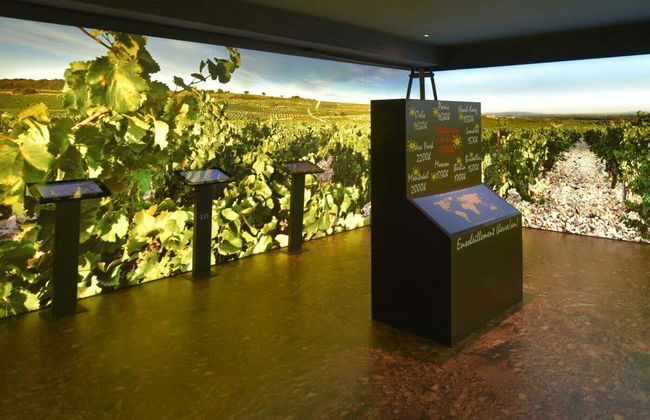Maison Brotte Wine Museum Tickets - Foto 5