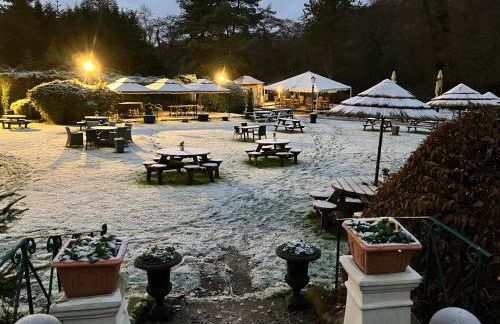 Honeysuckle Cottage -PART OF ALTON COTTAGES - Foto 21