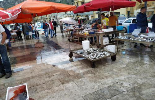 Aspra al delfino blu - Foto 38