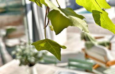 Meco Lodge Private Pool Full of Grace - Foto 11