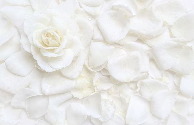 Rennweg 114 - Foto 58