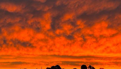 Dungeness Barn House Bed and Breakfast at Two Crows Farm - Foto 2