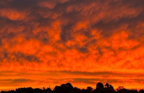 Dungeness Barn House Bed and Breakfast at Two Crows Farm - Foto 2
