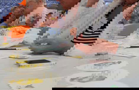 Visita guidata del Museo dell'Ulivo + Degustazione - Foto 17