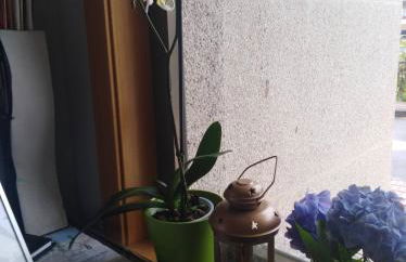 Apartamentos MonteBlanco Costa da Morte - Foto 30