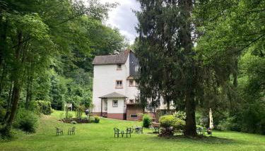 Wald Villa Üssbach - Photo 3, Garden, Garden view