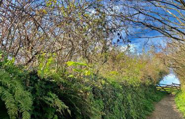 Spacious 3 Bed Cottage Near Beaches - Foto 28