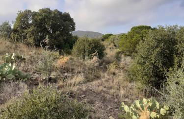 Bel appartement bord de mer - Foto 20