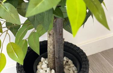 El Balcón de Ávila - Foto 17