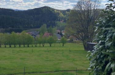 LA PETITE MESANGE - Photo 2