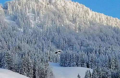 Haus Wiesenblick - Foto 1