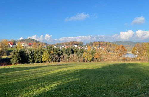 Ferienhaus Brandt im Ferienpark Falkenstein - Foto 50