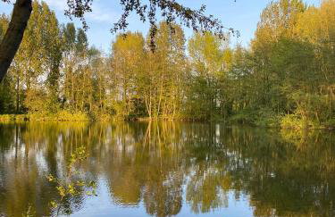 Le Havre de Bois - Foto 12