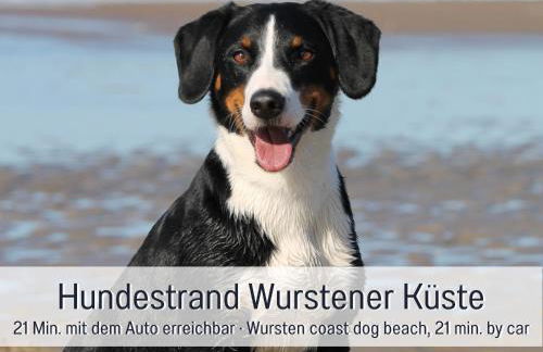 Ferienhaus Beerster Sonne, ideal for a long stay - Foto 15