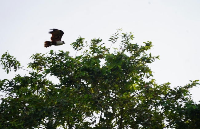 River Paradise Safari House with Cooking Class - Photo 14