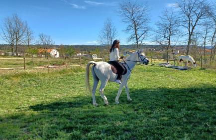 Quinta da Carreirinha - Foto 8