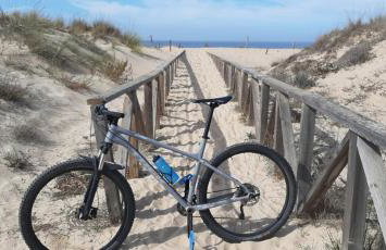 Casa Palmera - Foto 24