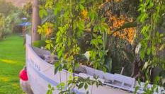 Torre Bella Gardens - Photo 3