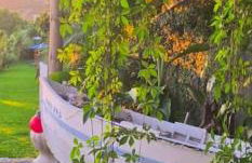 Torre Bella Gardens - Foto 3