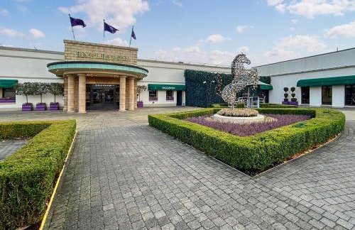 Conemara - Uk51249 - Foto 18