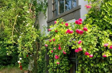 Charming Villa With A View Of Schermützelsee - Foto 30