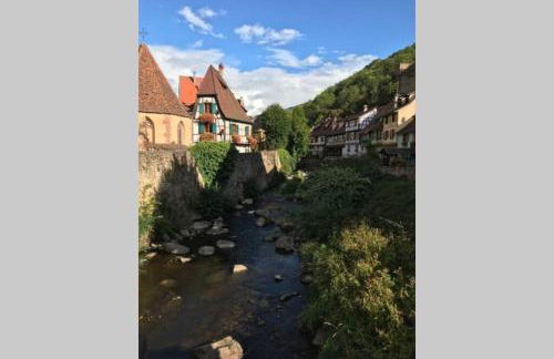 Coeur Alsace - Foto 37