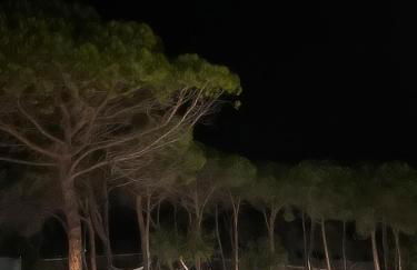 Villa La Caletta - Foto 60