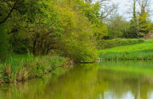 Chalet Lodge 2 - Hot Tub by Interhome - Foto 39